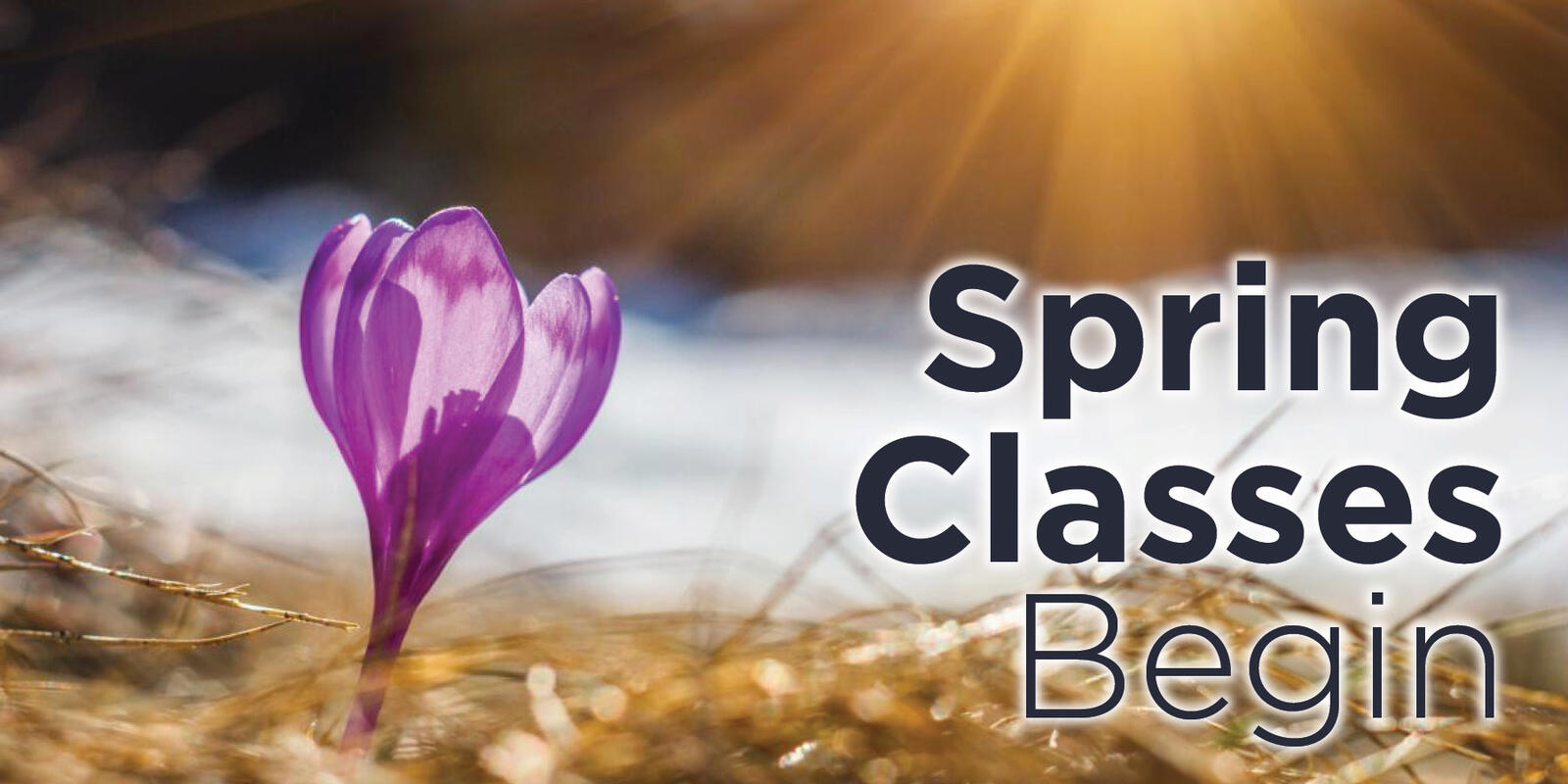 Springterm Classes Begin Advising Resources